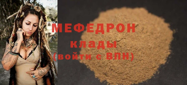 индика Бикин